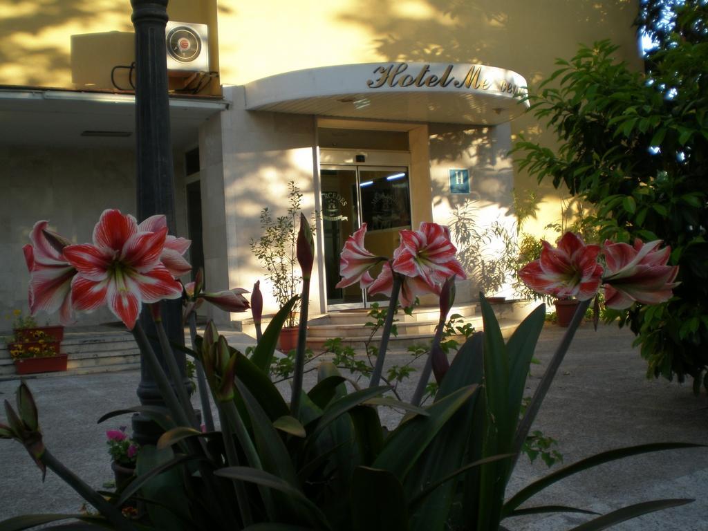 Hotel Mercedes أرانخويث المظهر الخارجي الصورة